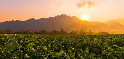 option-3-homepage-hero